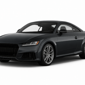Audi TT/TTRS FV Mileage Odometer Blocker