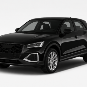 Audi Q2/SQ2 GA Mileage Odometer Blocker