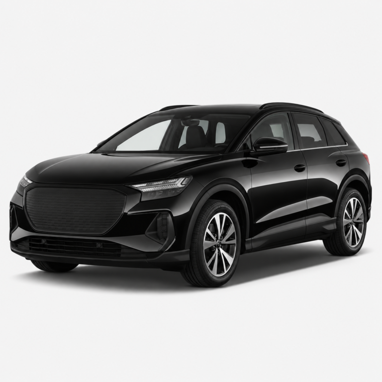Audi Q4 e-tron Mileage Odometer Blocker