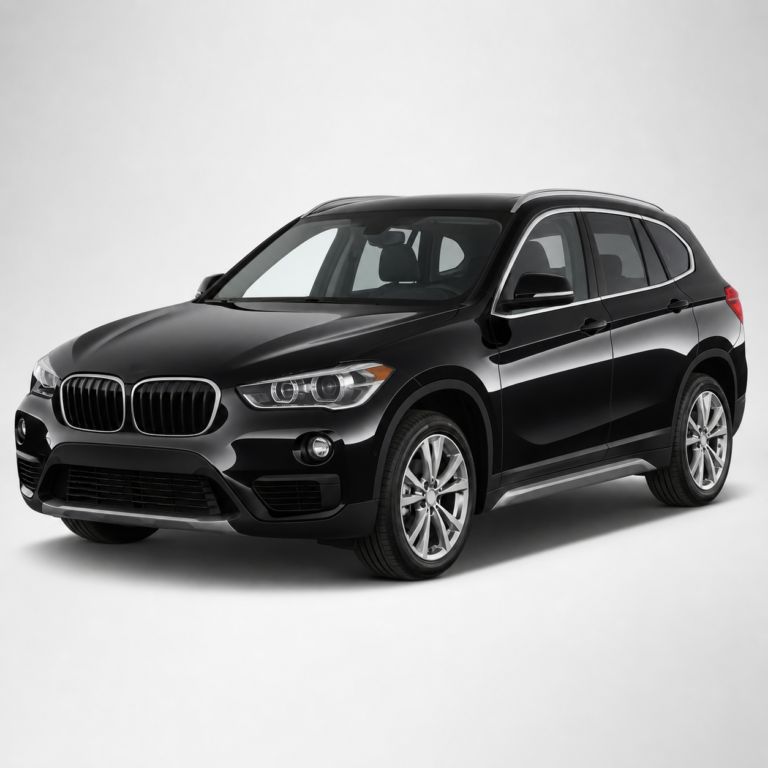 BMW X1 F48 Mileage Odometer Blocker